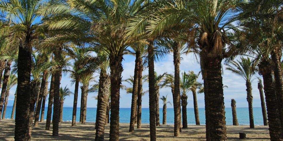 Апартаменты Apartamento Carole Playa Bajondillo Torremolinos Beach - Playa A 30 Segundos - Wifi - Parking - Terraza Экстерьер фото
