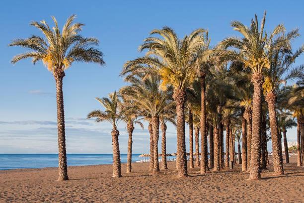 Апартаменты Apartamento Carole Playa Bajondillo Torremolinos Beach - Playa A 30 Segundos - Wifi - Parking - Terraza Экстерьер фото